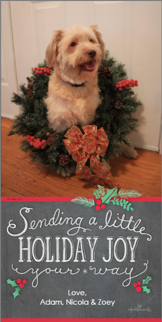Zoey holiday card